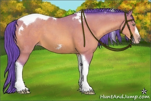 Horse Color:Watercolor Amber Champagne Tobiano Frame 