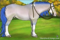 Horse Color:Watercolor Amber Champagne Onyx Tobiano 
