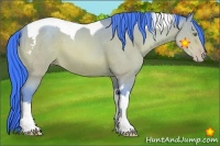 Horse Color:Watercolor Amber Champagne Tobiano