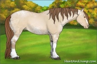 Horse Color:Brown Ice Pearl Dun 