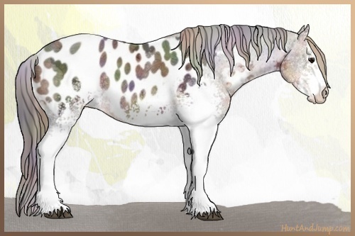 Horse Color:Nacre White Spotted Buckskin Ice Blanket 
