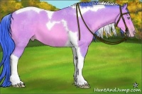 Horse Color:Watercolor Amber Champagne Tobiano