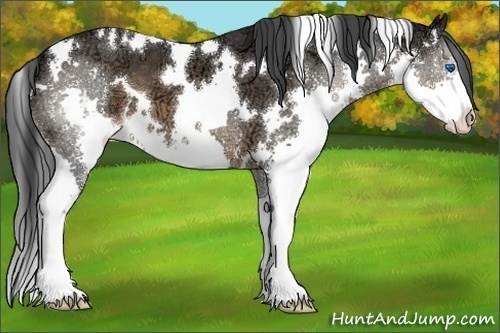 Horse Color:White Spotted Brown Ice Splash 