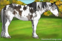 Horse Color:White Spotted Brown Ice Splash