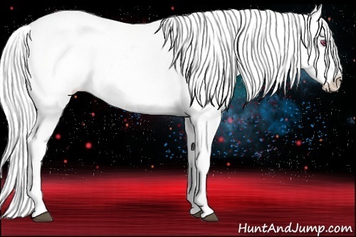 Horse Color:Silver Brown Chinchilla Appaloosa 