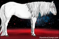 Horse Color:Silver Brown Chinchilla Varnish