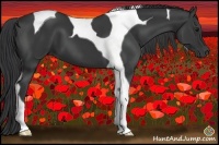 Horse Color:Smoky Black Tobiano 