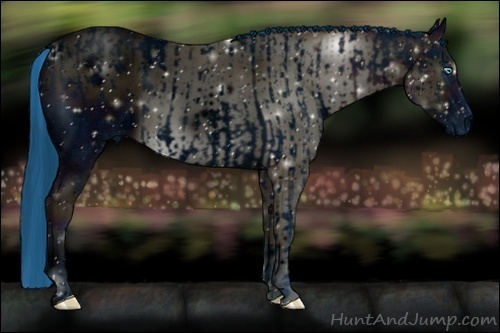 Horse Color:ERROR: UNKNOWN ANOMALY and ERROR: UNKNOWN ANOMALY