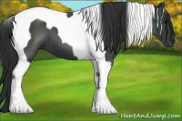 Horse Color:Black Tobiano