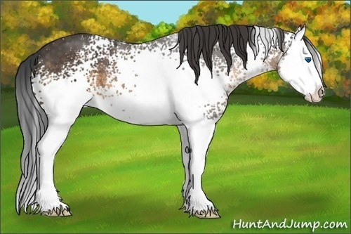 Horse Color:White Spotted Buckskin Sabino Splash