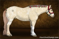 Horse Color:Palomino Ice Dun