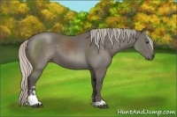 Horse Color:Silver Black Sabino 