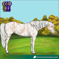 Horse Color:Silver Black Pearl  and Cremello Roan Varnish 