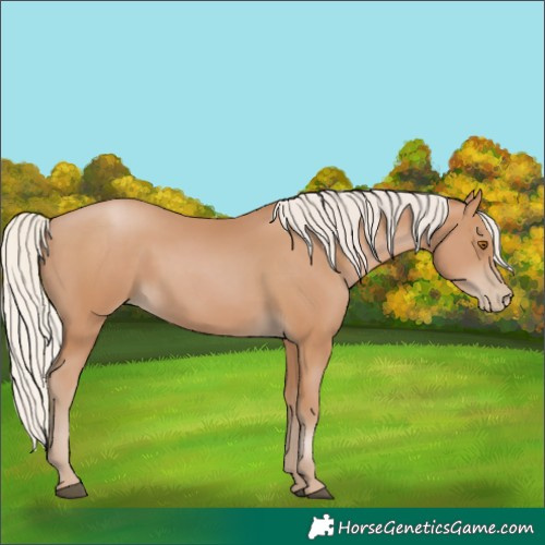 Horse Color:Silver Black Pearl 