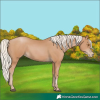 Horse Color:Silver Black Pearl