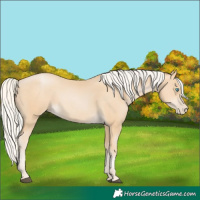 Horse Color:Silver Black Snowdrop 