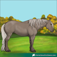 Horse Color:Silver Grullo