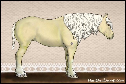 Horse Color:Palomino