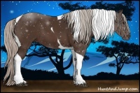 Horse Color:Silver Bay Tobiano