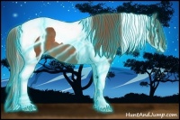 Horse Color:Thunderstruck Chestnut Tobiano 