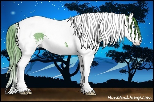Horse Color:Watercolor Black Splash Tobiano