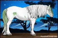 Horse Color:Watercolor Black Splash Tobiano