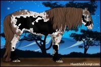 Horse Color:Liver Chestnut Ice Frame