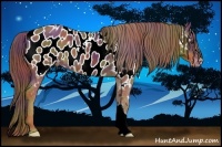 Horse Color:Nacre Chestnut Near Leopard