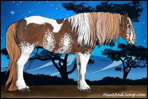 Horse Color:White Spotted Liver Chestnut Tobiano 