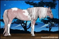 Horse Color:Watercolor Chocolate Palomino Sabino Tobiano