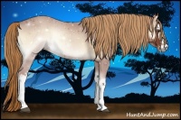 Horse Color:White Spotted Red Onyx 