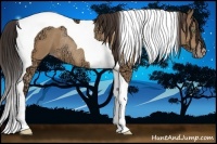 Horse Color:Amber Champagne Ice Tobiano Rabicano