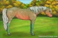 Horse Color:Watercolor Silver Bay Sabino 