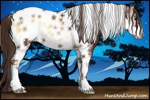 Horse Color:Red Onyx Tobiano Frame 