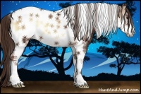 Horse Color:Red Onyx Tobiano Frame 