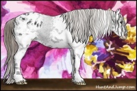 Horse Color:White Spotted Smoky Black Ice Appaloosa Rabicano 