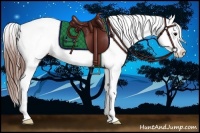 Horse Color:White Spotted Black Splash Frame Appaloosa