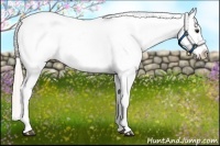 Horse Color:Silver Bay Roan Dun Near Leopard Rabicano