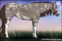 Horse Color:Liver Chestnut Ice 