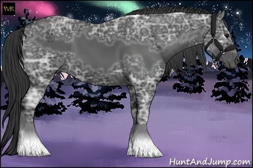 Horse Color:Black Ice 