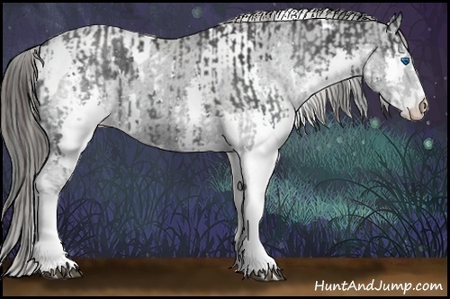 Horse Color:White Spotted Black Splash Tobiano  and Black Sabino Splash Tobiano Appaloosa 