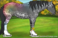 Horse Color:Black Ice 