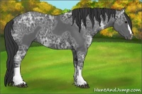 Horse Color:Smoky Black Ice 