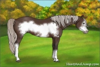 Horse Color:Silver Brown Frame 