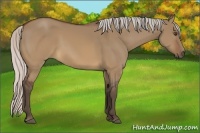 Horse Color:Silver Brown Dun Sabino Rabicano 