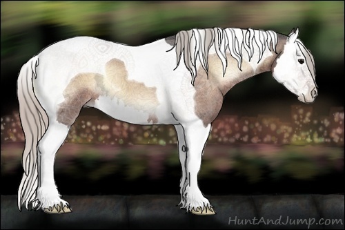 Horse Color:Silver Bay Ice Roan Onyx Splash Tobiano 