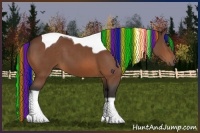 Horse Color:Painted Bay Tobiano 