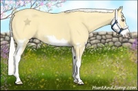 Horse Color:Silver Amber Cream Champagne Dun Splash Frame
