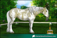 Horse Color:Watercolor White Spotted Silver Brown Ice Sabino 