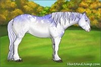 Horse Color:Watercolor White Spotted Silver Brown Chinchilla Ice Onyx
